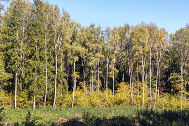 Similar image 21937212