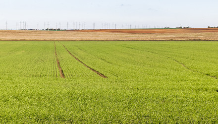 Similar image 21937214