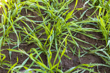 Similar image 21937218