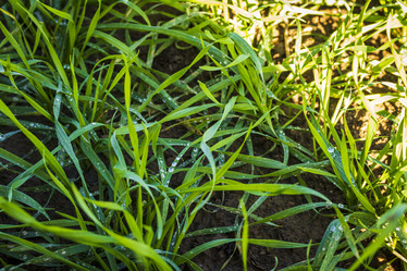 Similar image 21937219