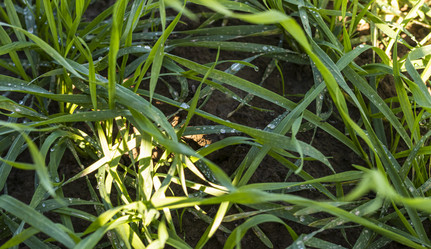 Similar image 21937221