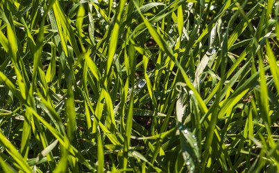 Similar image 21937222