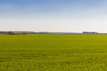 Similar image 21937224