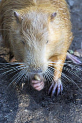 Similar image 21937227