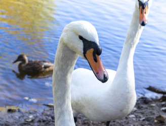 Similar image 21937228