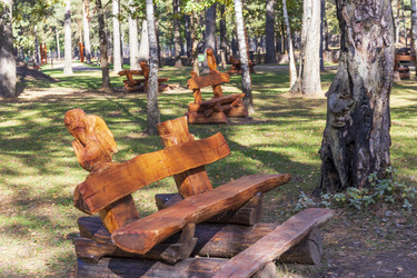 Similar image 21937232