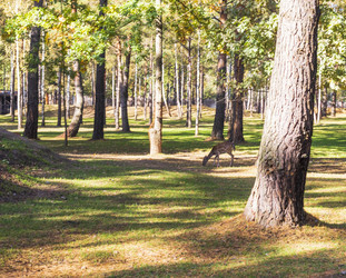 Similar image 21937233