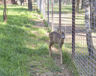 Similar image 21937235