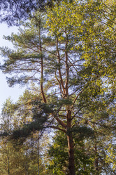 Similar image 21937236