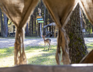 Similar image 21937237