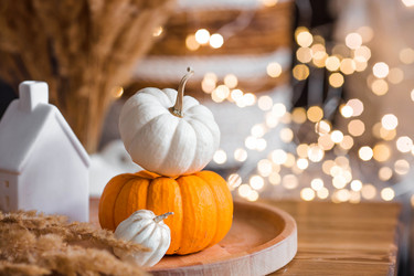 Similar image 21937946