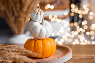 Similar image 21937948