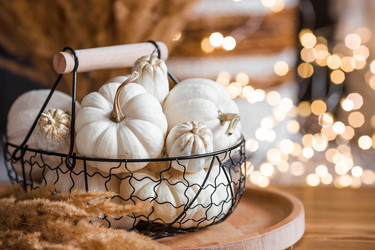 Similar image 21937950