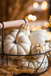 Similar image 21937958