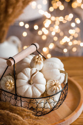 Similar image 21937959