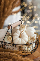 Similar image 21937962