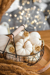 Similar image 21937964