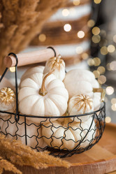 Similar image 21937968