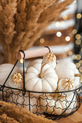 Similar image 21937970