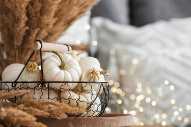 Similar image 21937974