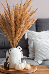 Similar image 21937975