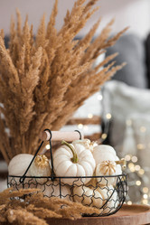 Similar image 21937976