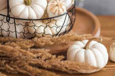 Similar image 21937978