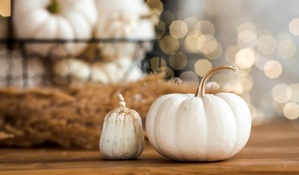 Similar image 21937984