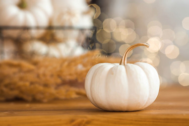 Similar image 21937985