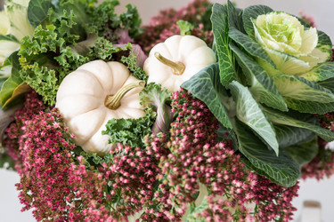 Similar image 21937986