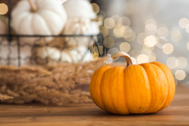 Similar image 21937987