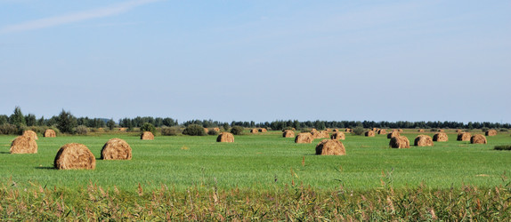 Similar image 21936824