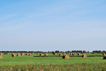 Similar image 21936825