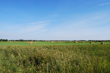 Similar image 21936826