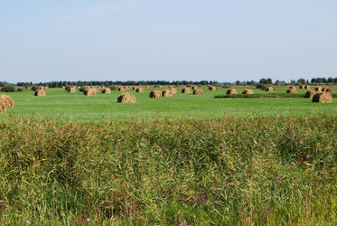 Similar image 21936827