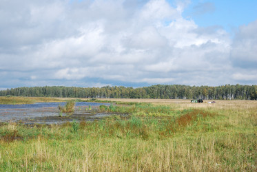 Similar image 21936831