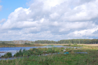 Similar image 21936833