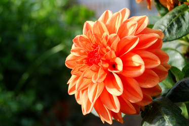 Similar image 21936841