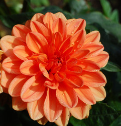 Similar image 21936842