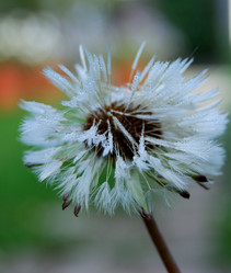 Similar image 21936843