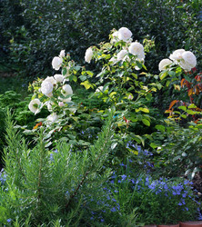 Similar image 21936844