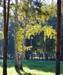 Similar image 21936845