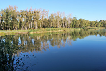 Similar image 21936846