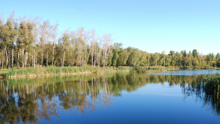 Similar image 21936847