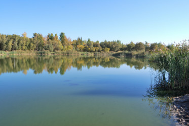 Similar image 21936849