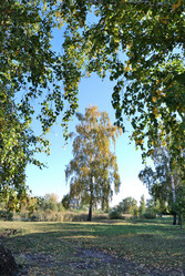 Similar image 21936852