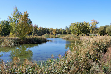 Similar image 21936856