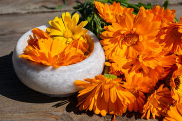 Similar image 21939929