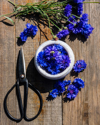 Similar image 21939931