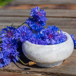 Similar image 21939932